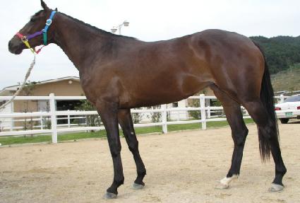 �۴޺� ����