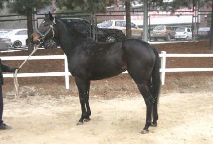 Ǯ���� ����