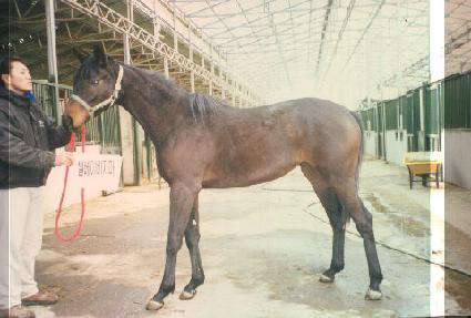 ���� ����