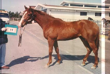 â����� ����