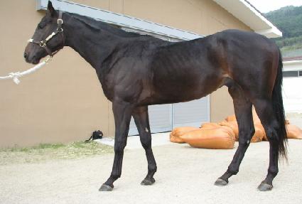 ������� ����