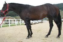 �λ꼱�� (BUSAN SEONBONG) ����