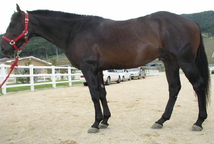 �λ꼱�� ����