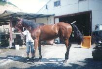 �ݺ����� (GEUMBIT YEOUL) ����