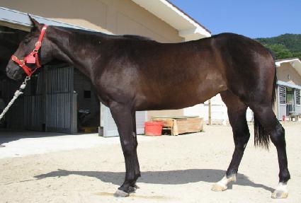 �±Ǽҳ� ����