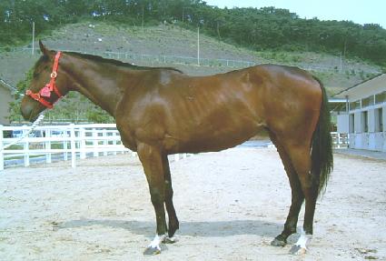 Ư�� ����