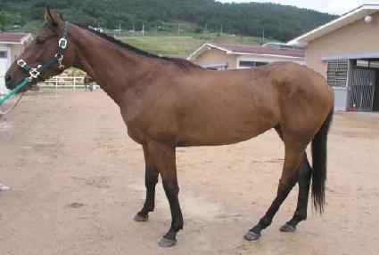 ���ǵ����Ʈ ����