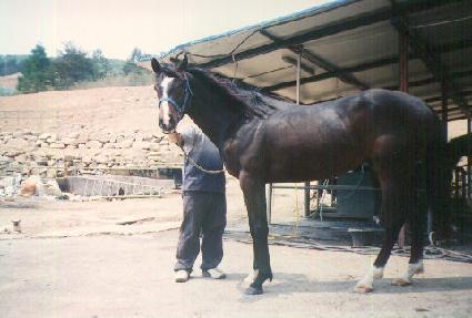 ���Ƶ��� ����