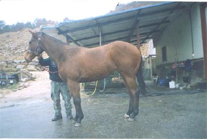 �պ� ����