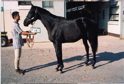 ����Ʈ ����