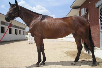 ����ȭ�� ����