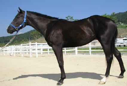 �������� ����