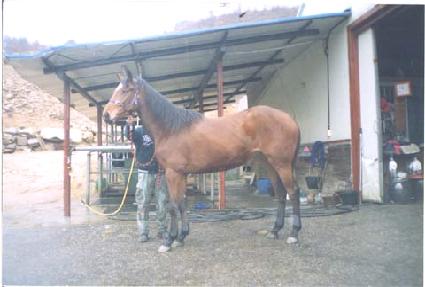 �����Ǵ޺� ����