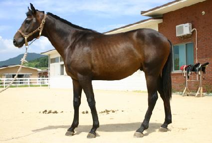 ���������� ����