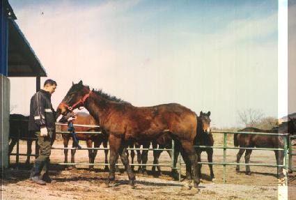 ���ʾ� ����