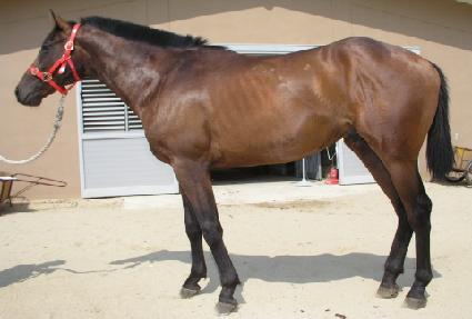 ȣ��� ����