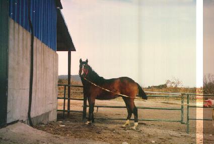 ��ƮĹ ����