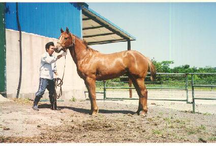 ����Ĺ ����