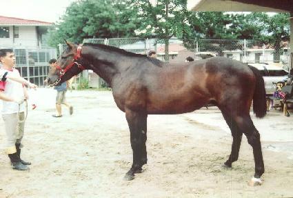 ���̹���Ÿ ����