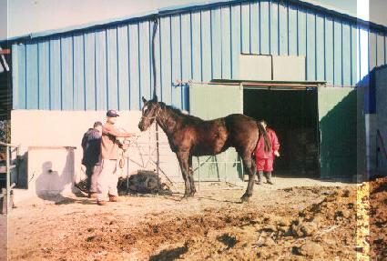 ��η� ����