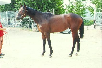 ����Ʈ����� ����