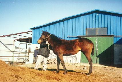 �������� ����