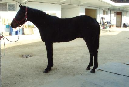 ���ٽ� ����