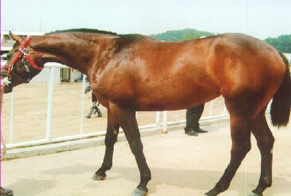 ž��ũ ����