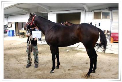 ��ν��ǵ� ����