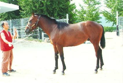 ���ݵ�Ŀ�� ����