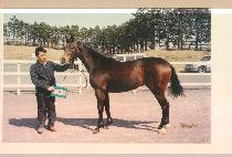 ī�϶� (KAILAS) ����