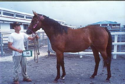 ��õ�� ����