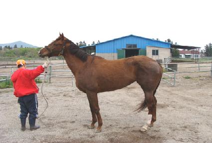 ���ǳ��� ����