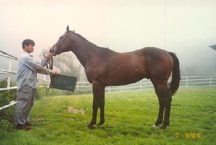 ���� ����