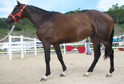 ���л� ����