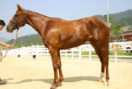 ���߽� ����