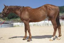 ���弱�� (RED THUNDER) ����