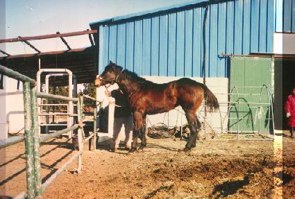 �轺�� ����