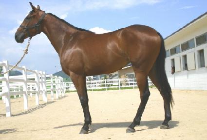 �������� ����