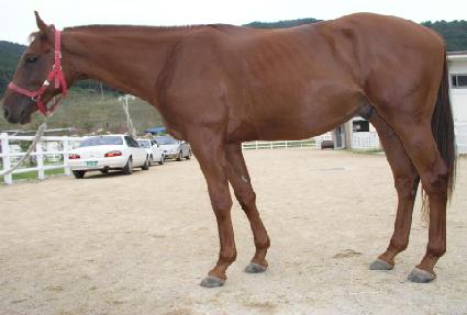 ���ǳ��� ����