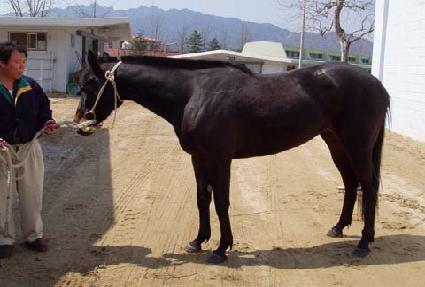 ���������� ����