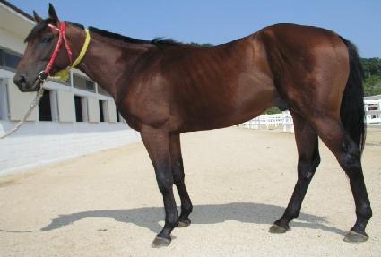 ����ä ����