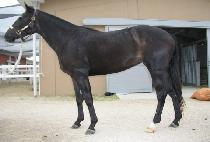 ���屸 (MULJANGGU) ����