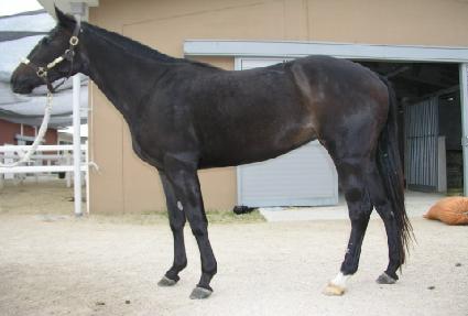 ���屸 ����