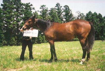 ��ȣ���� ����