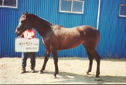 ��������ž ����