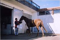 õ�����ູ (CHEONSANGUICHUKBOK) ����