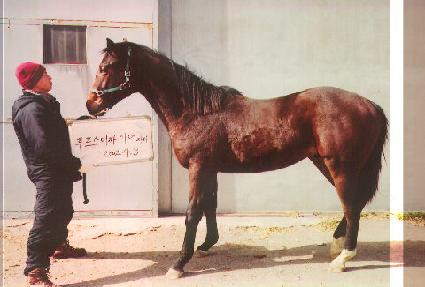 ŷ���̾� ����