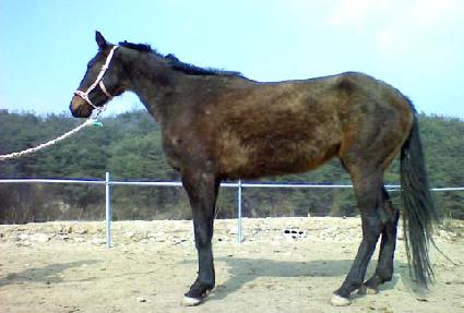 ���ϴ� ����