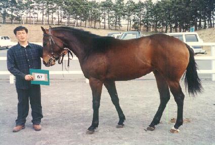 �Ѹ��� ����